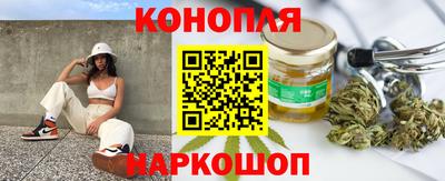 прущие грибы Ирбит